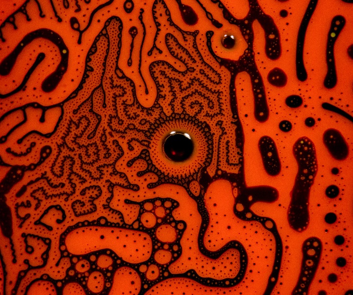Gallery of Modern Art by Kamil Czapiga - Poland