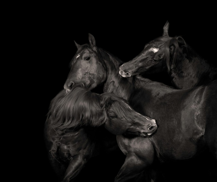 Gallery of Photography by Constance Jaeggi - Switzerland