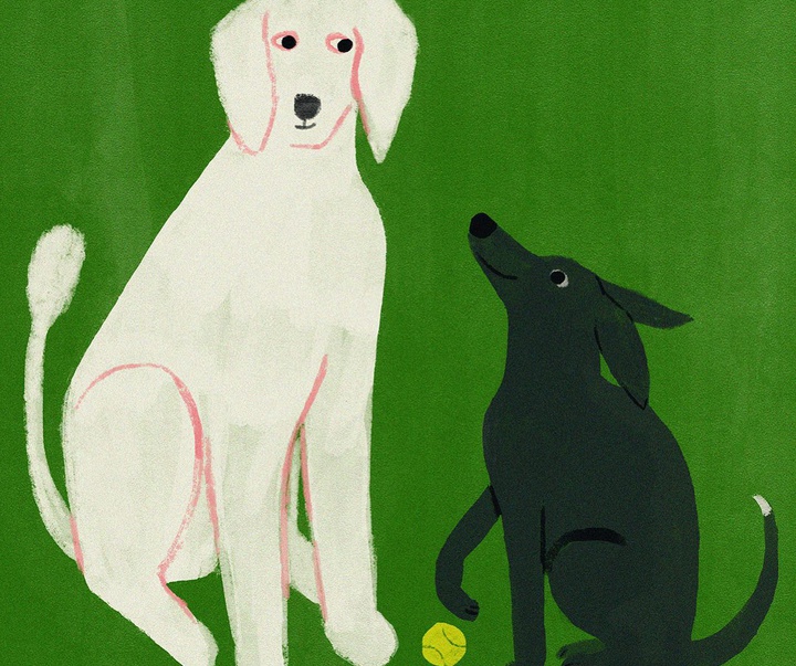 Gallery of Illustration by Anne Bentley - USA