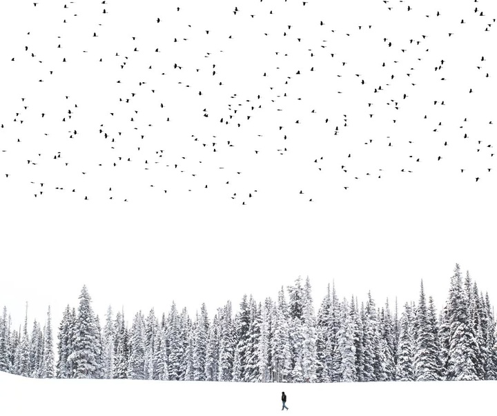 Gallery of Photography by Benjamin Wolf - USA