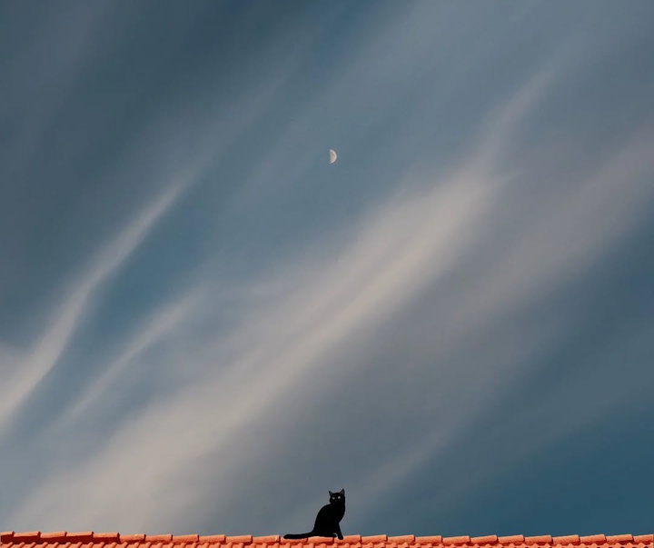 Gallery of Photography by Benjamin Wolf - USA