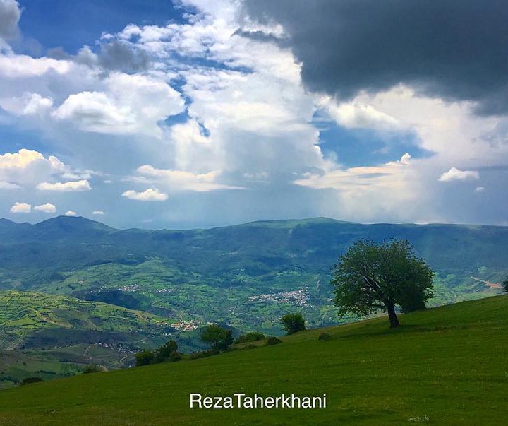 Galley of Photography from Iran by Reza Taherkhani