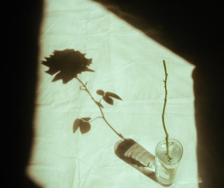 Gallery of Photography by Luka Khabelashvili - Georgia