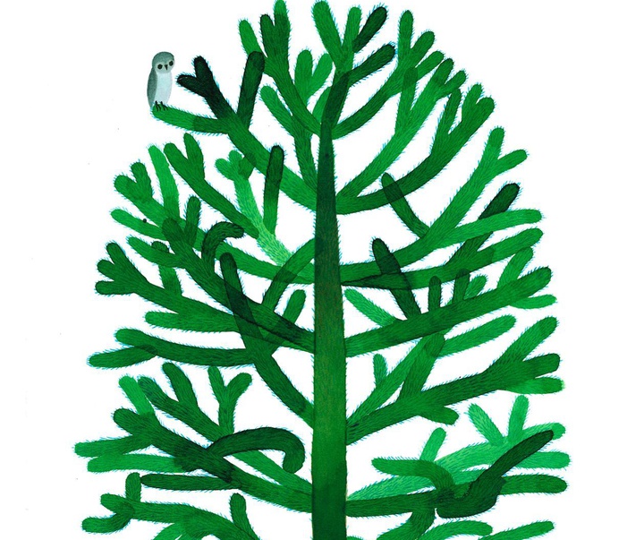 Gallery of Illustrations by Valerio Vidali - Italy