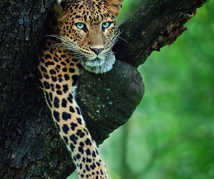 Gallery of Photography by Mithun Hunugund