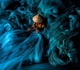 Gallery of Photography by  Réhahn - France
