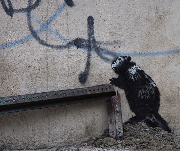 Gallery of Banksy Street artist-England