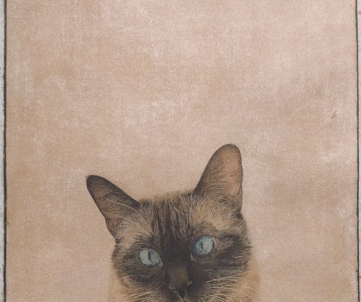 Gallery of Painting by Marta de la Sota Cores - Spain