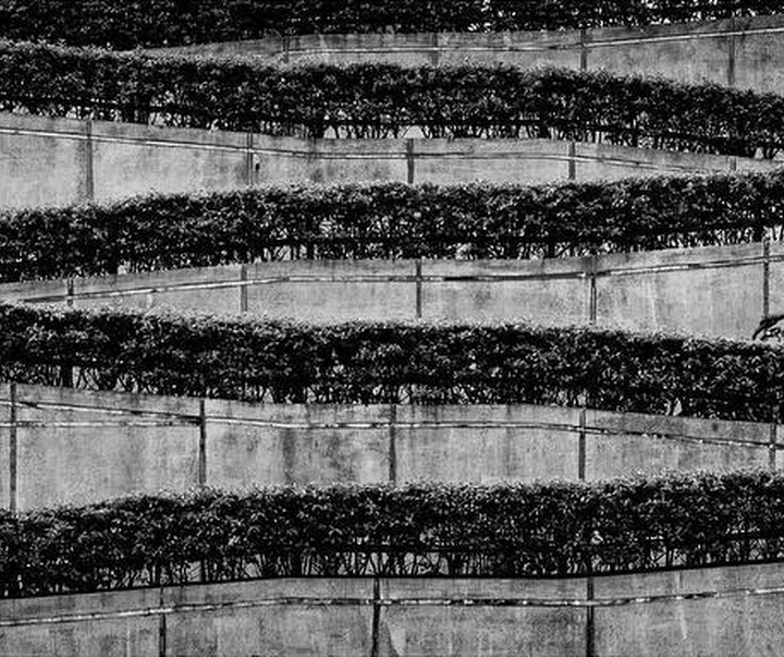 Gallery of Photography by Jason Au - Hong Kong