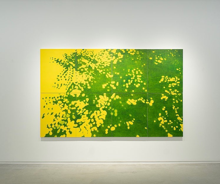 Gallery of Painting by Duri Baek - South Korea
