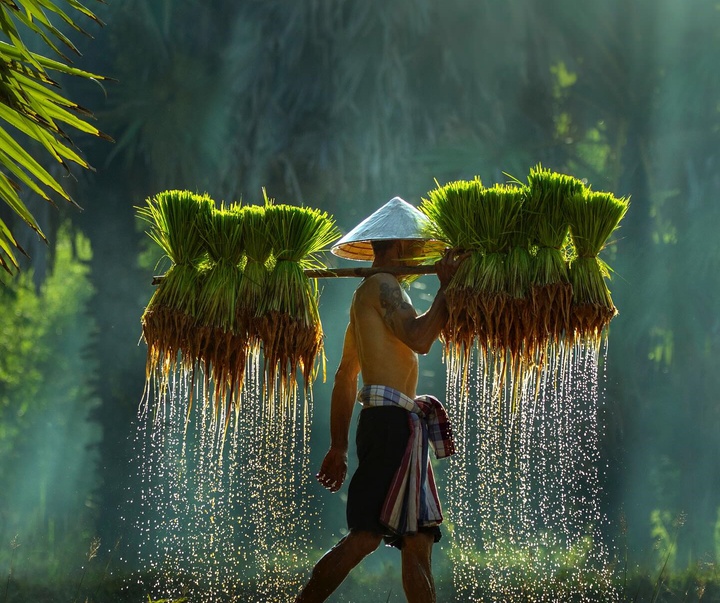 Gallery of Photography by Mahendra Bakle - India