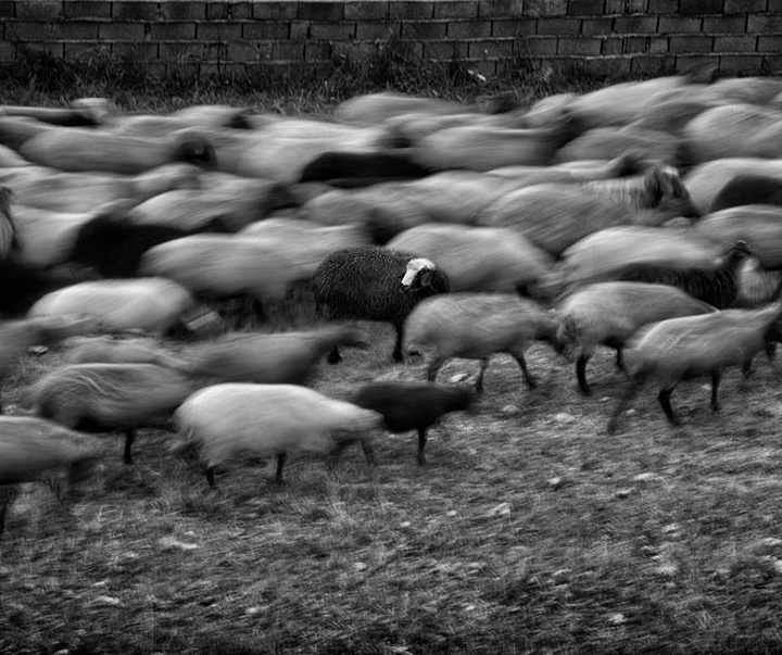 Gallery of photography by Bahman Azizi- Iran