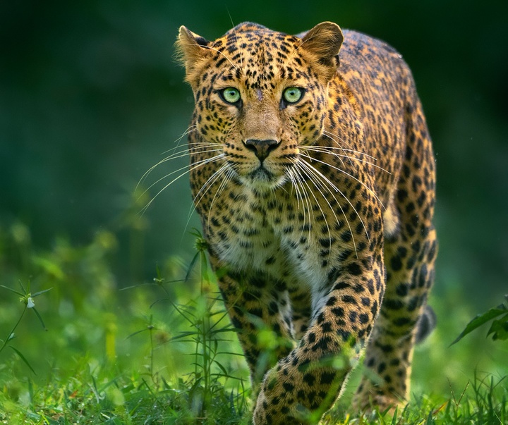 Gallery of Photography by Mithun Hunugund