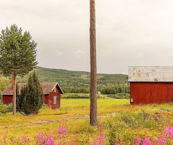 Gallery of Photography by Gustav Gräll - Sweden