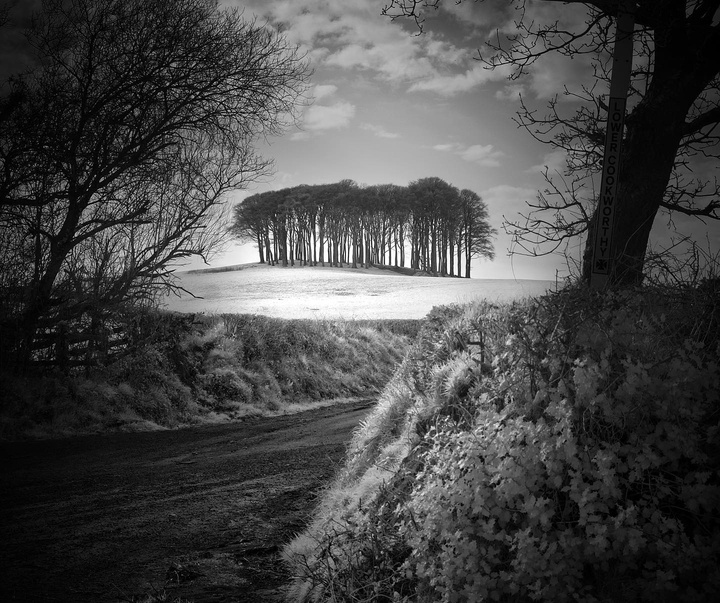 Gallery of photography by Noel Bodle - England