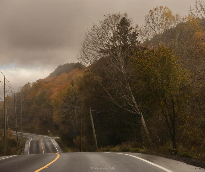 Gallery of Photography by Melanie Wills - Canada