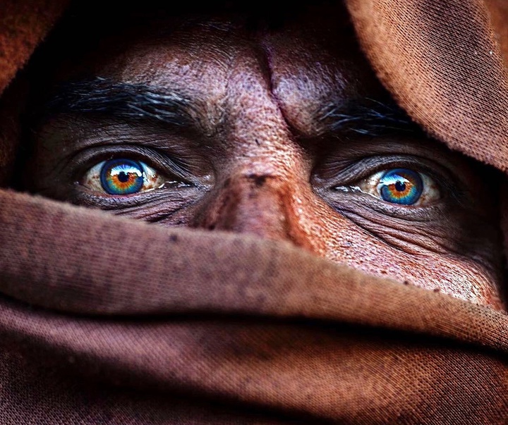 Gallery of Photography by Alessandro Bergamini - Italy
