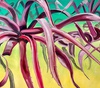 Gallery of Painting by Alessandra Risi - Peru