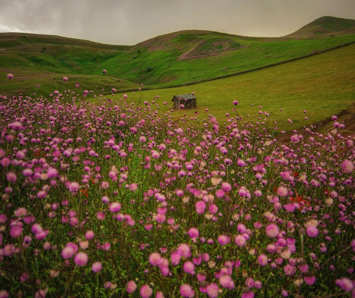 Gallery of Photography by Javad Jahanbin- Iran