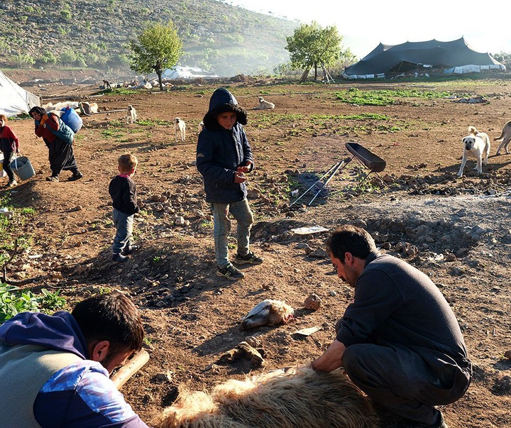 Gallery of Photography by Hüsamettin Bahçe - Turkey