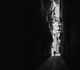 Gallery of Photography by João Cabral - Portugal