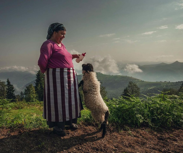 Gallery of Photos by Aygul Ozturk-Turkey