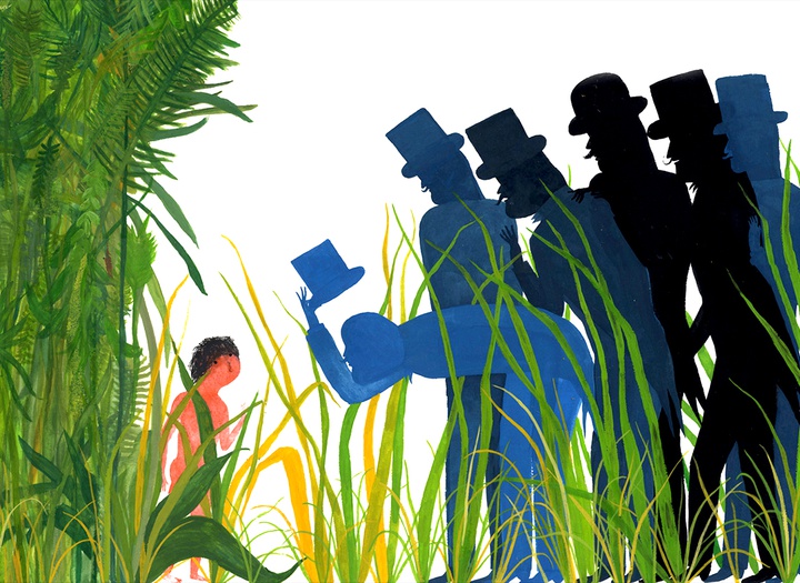 Gallery of Illustrations by Valerio Vidali - Italy