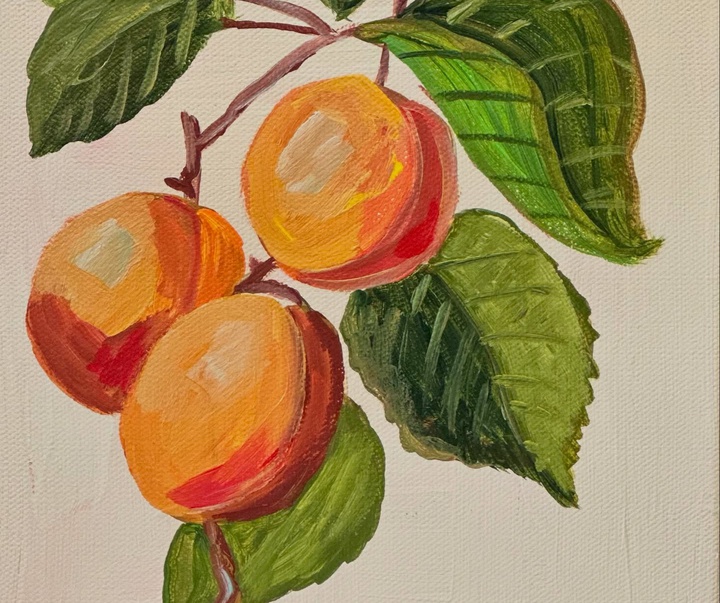Gallery of Painting by Mindy Carpenter - Canada