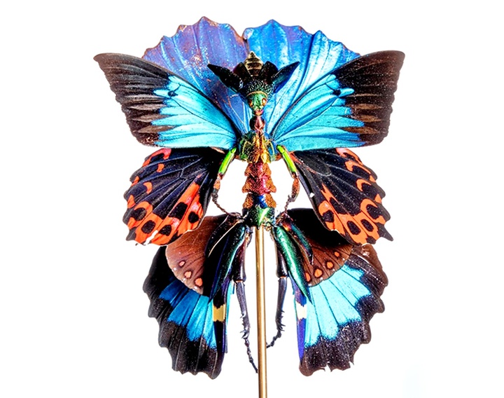 Gallery of Sculpture by Cedric Laquieze - USA