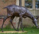 Gallery of Sculpture by Adam Roud - UK