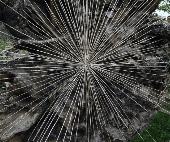 Gallery of Modern Art by Andy Goldsworthy - England