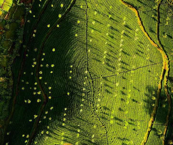 Gallery of Photography by Nishchay Bharati Jain - India