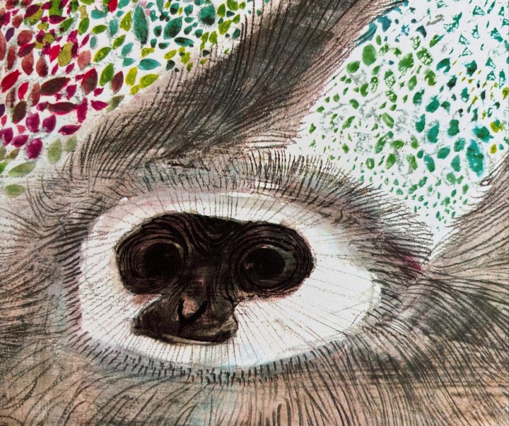 Gallery of Illustration by Brian Wildsmith - UK