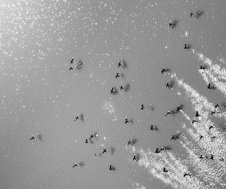 Gallery of Photography by Shamim Shorif Susom - Bangladesh