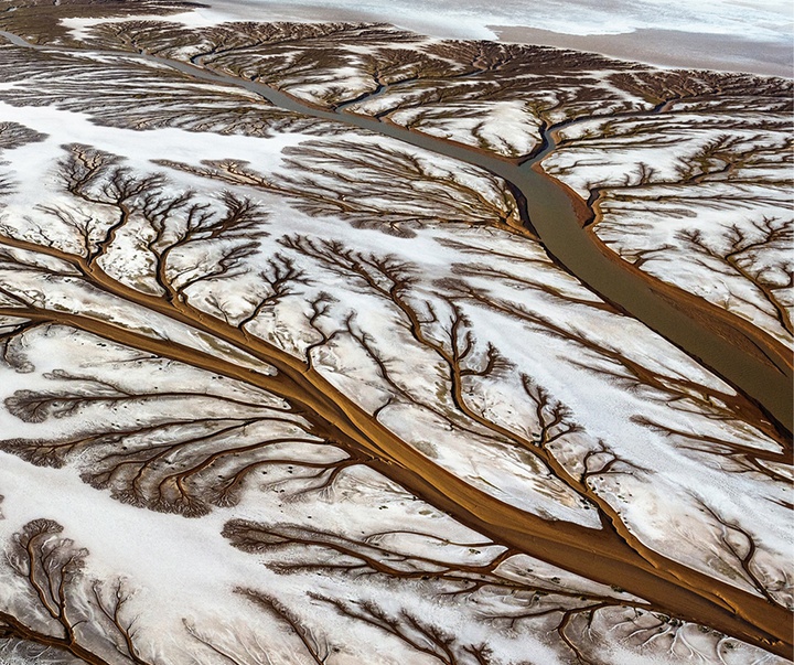 Gallery of Photography by Paul Nicklen - Canada
