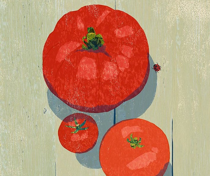 Gallery of Illustration by Tatsuro Kiuchi - Japan