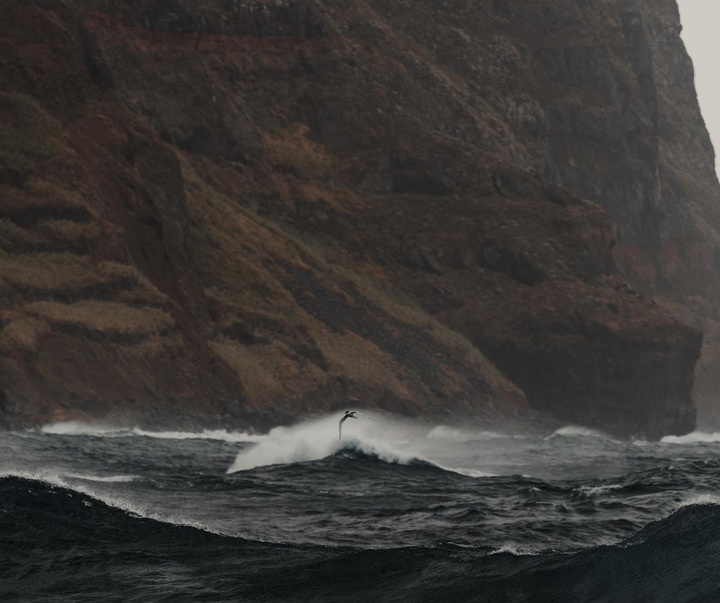 Gallery of photography by Rob Ash - England