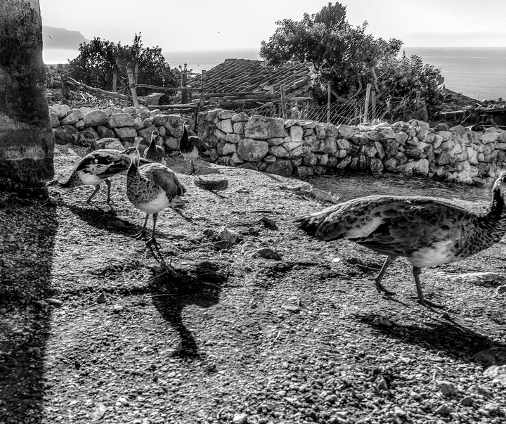 Gallery of Photography by Patrizia Galia - Italy