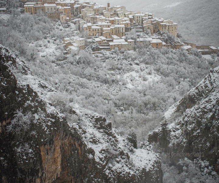 Gallery of Photography by Lyon Corso - Italy