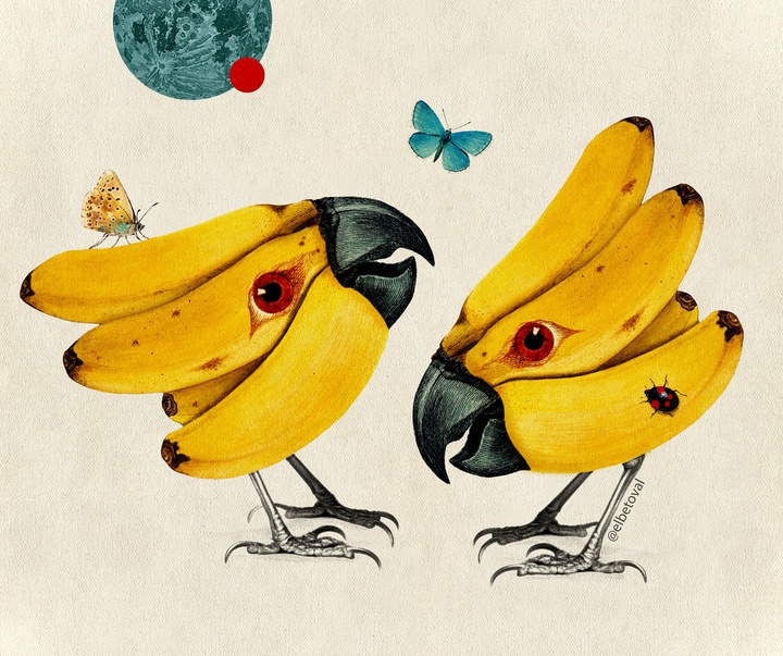 Gallery of Illustration by Beto Valencia - Ecuador