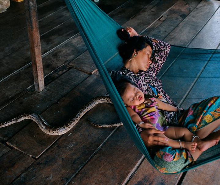 Gallery of Photography by Steve McCurry - USA