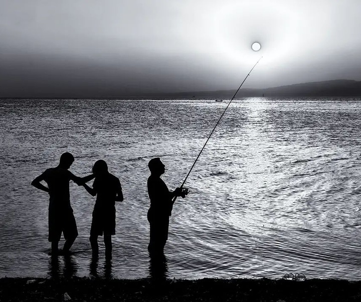 Gallery of Photos by Ahmet Muhtar Taskaya-Turkey