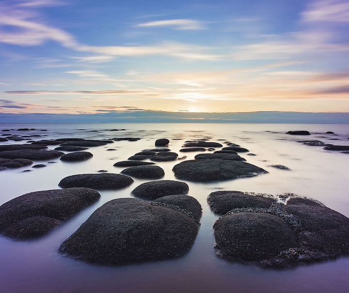 Gallery of Photography by Emma Steele