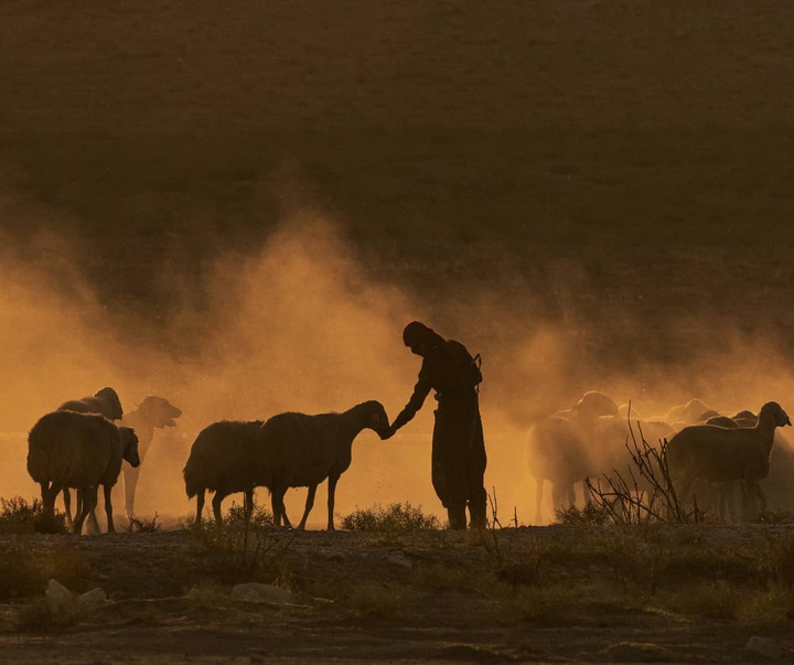 Gallery of photography by Mustafa Shahbaz - Turkey