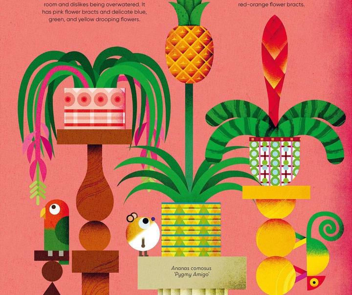 Gallery of Illustrations by Philip Giordano - Italy
