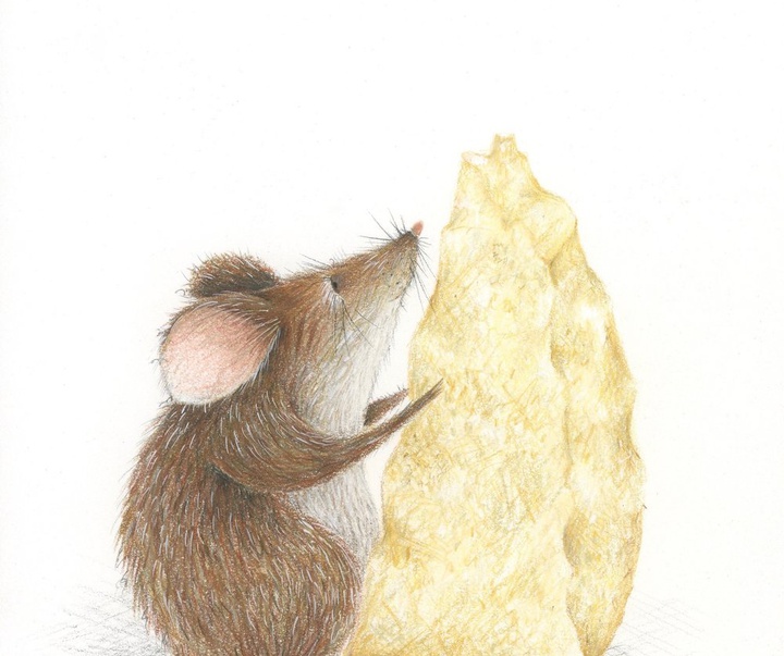 Gallery of Illustration by Kelli Flitton - USA