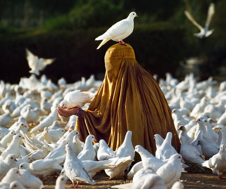 Gallery of Photography by Steve McCurry - USA
