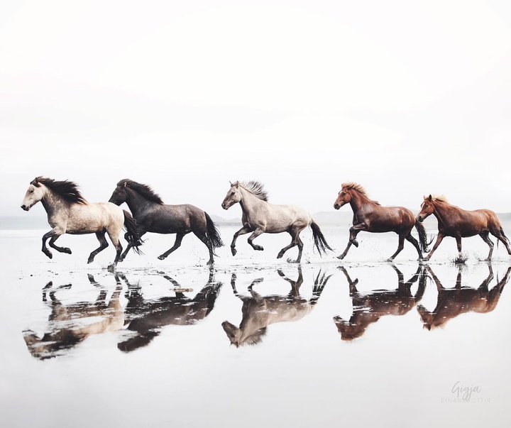 Gallery of Photography by Gigja Einars - Iceland