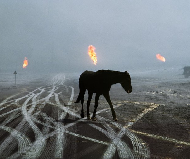 Gallery of Photography by Steve McCurry - USA