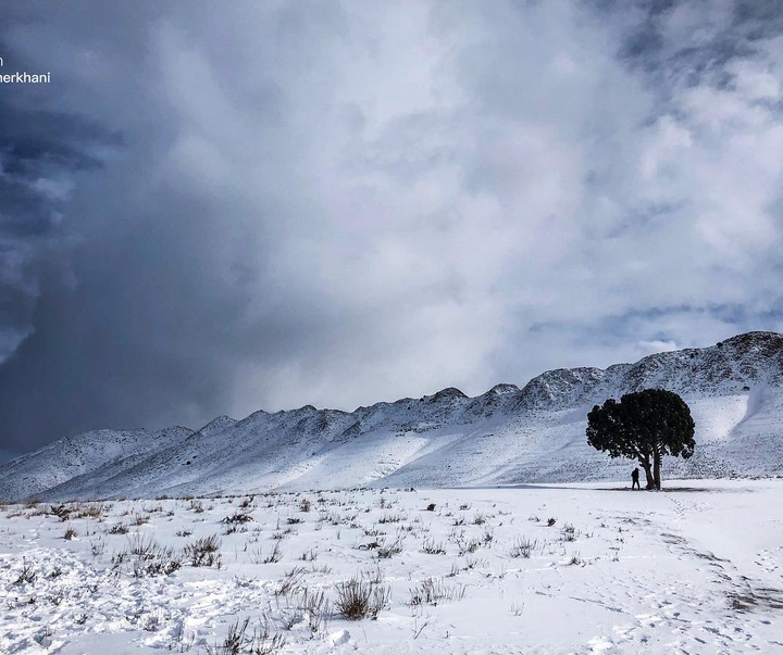 Galley of Photography from Iran by Reza Taherkhani